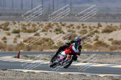 media/Apr-10-2022-SoCal Trackdays (Sun) [[f104b12566]]/Turn 5 Tree of Life (1040am)/